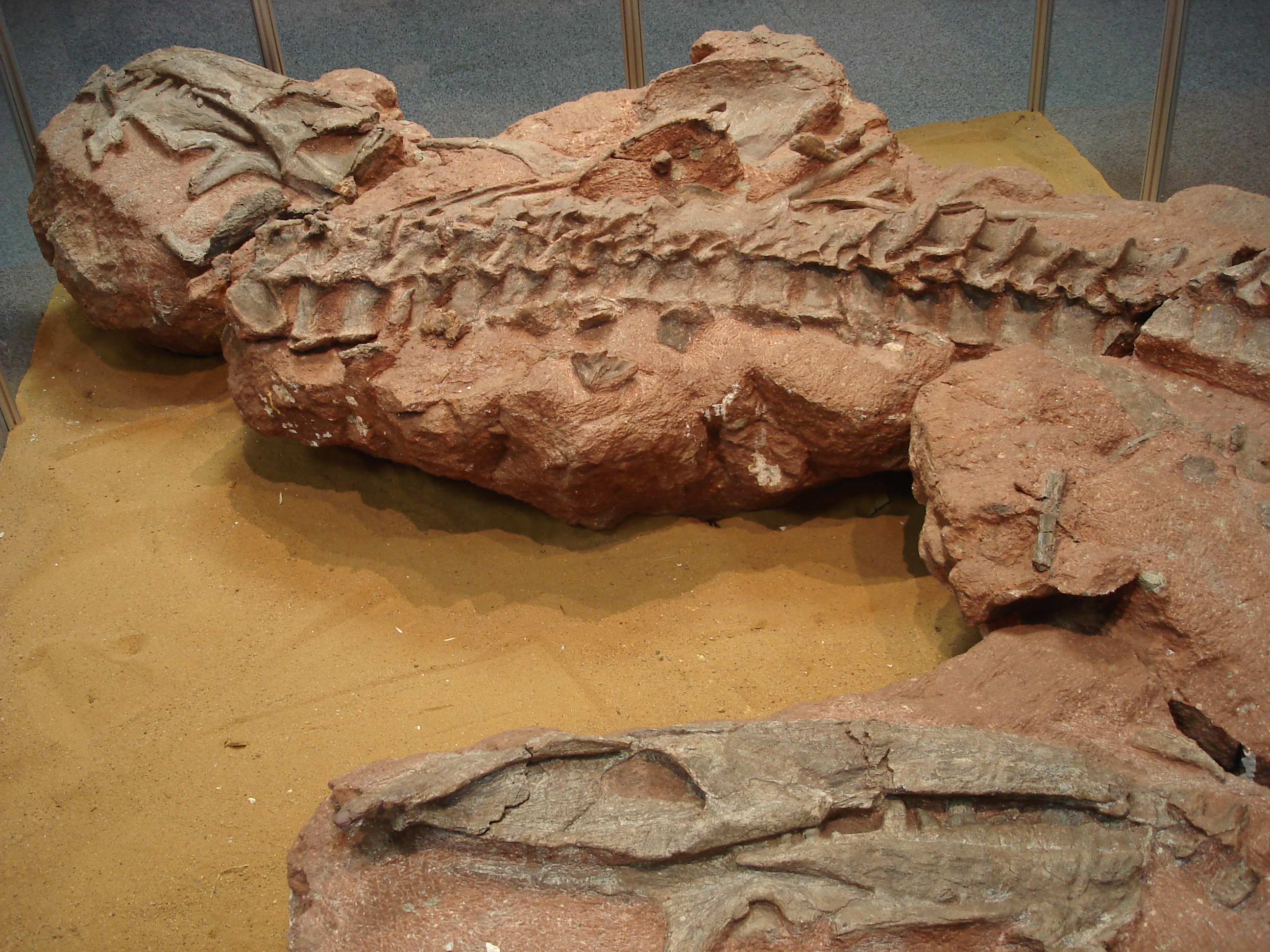 National Earth Science Museum